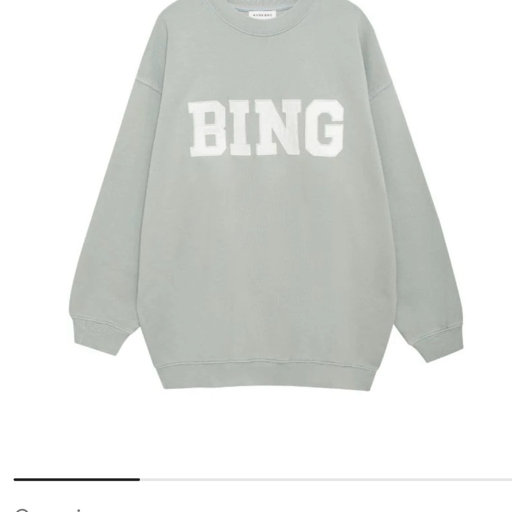 Worn once Anine Bing Tyler Sweatshirt Size Small:) just beautiful